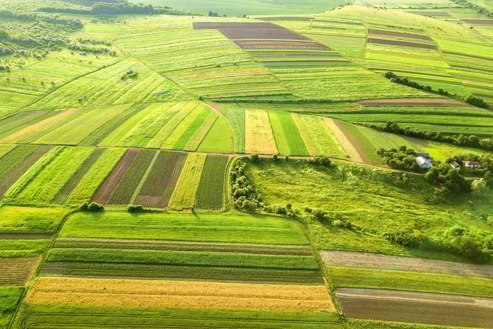 Aerial View of Green Agricultural Fields in Spring with Fresh Ve
